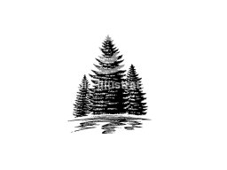 pine trees comp